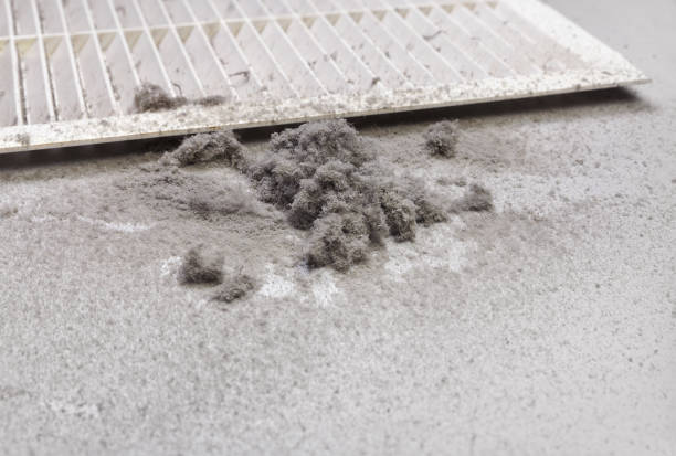 Best Air Duct Cleaning Near Me  in Syracuse, IN