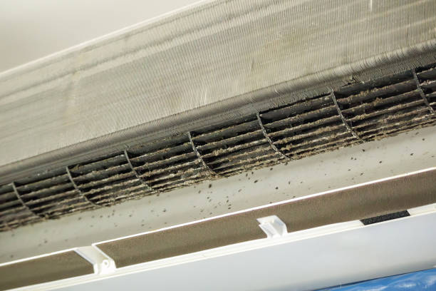 Best Commercial Air Duct Cleaning  in Syracuse, IN